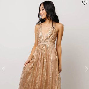 NWT Anastasia Gown